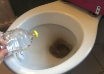 Comment enlever le noir dans la cuvette des WC ?