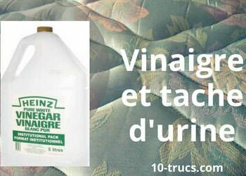 Comment enlever une vieille tache d'urine ?