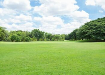 Comment entretenir facilement un grand terrain ?