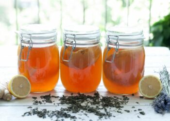 Comment entretenir la mère du vinaigre ?