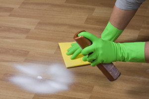 Comment entretenir un Pépéromia ?