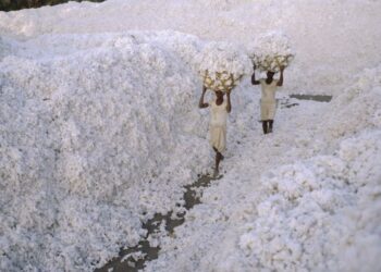 Comment est fait le gaz de coton ?