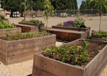 Comment étanchéifier une jardinière ?