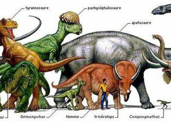 Comment expliquer la disparition des dinosaures ?