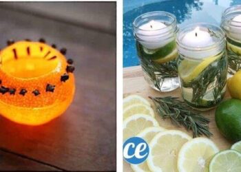 Comment fabriquer des bougies Anti-moustiques ?