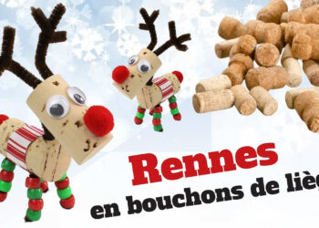Comment fabriquer un renne de Noël ?
