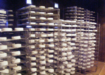 Comment fabriquer une cave d'affinage ?