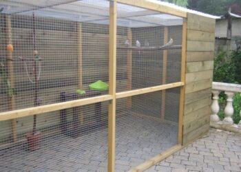 Comment fabriquer une volière extérieure ?