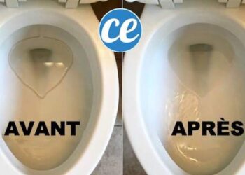Comment faire blanchir le fond des toilettes ?