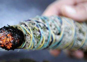 Comment faire brûler de la sauge pour purifier ?