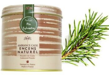 Comment faire brûler le bois de cade ?