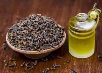 Comment faire de l'huile de teck ?