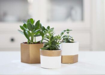 Comment faire des caches pots ?