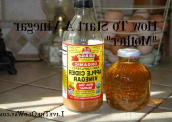 Comment faire du vinaigre sans mère ?