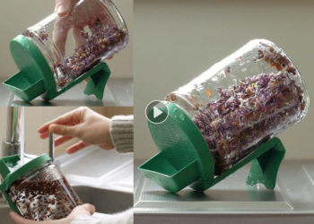 Comment faire le vide dans un bocal ?