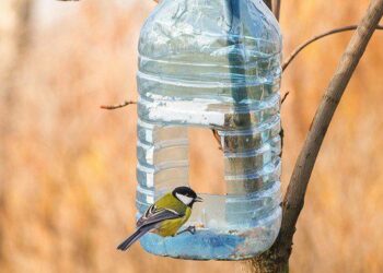 Comment faire pour que l'eau pour les oiseaux ne gèle pas ?