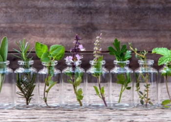 Comment faire pousser une orchidée dans de l'eau ?