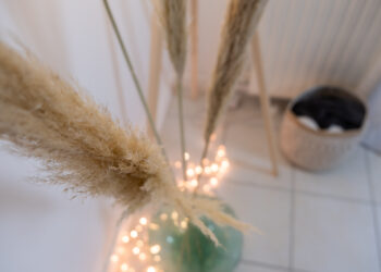 Comment faire sécher des Pampas ?