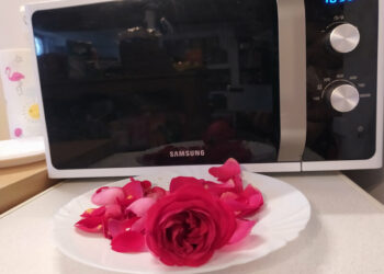 Comment faire sécher des fleurs au Micro-onde ?