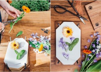 Comment faire sécher des fleurs et garder leur couleur ?