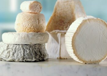 Comment faire sécher des fromages de chèvres ?