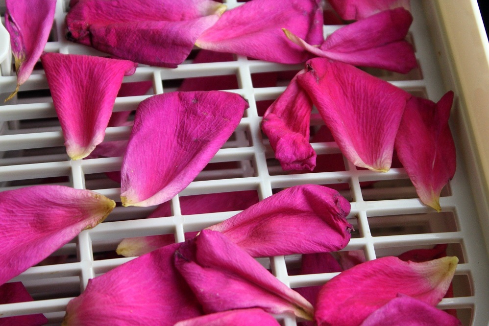 Comment faire sécher des pétales de pivoine
