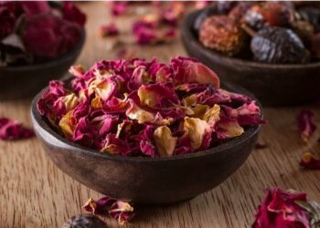 Comment faire sécher des pétales de roses naturellement ?