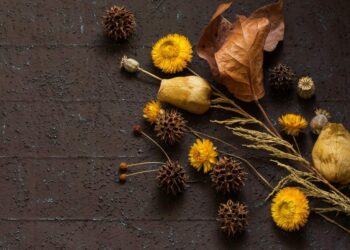 Comment faire sécher la fleur de sel ?