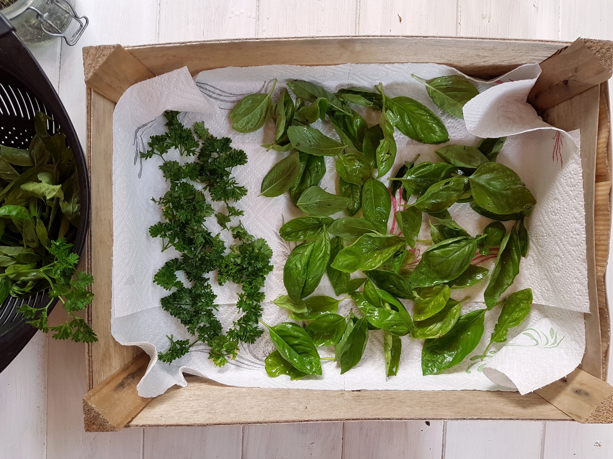 Comment faire sécher les feuilles