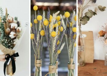 Comment faire sécher les fleurs de Pampa ?