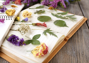 Comment faire sécher un bouquet de fleurs avec de la laque ?