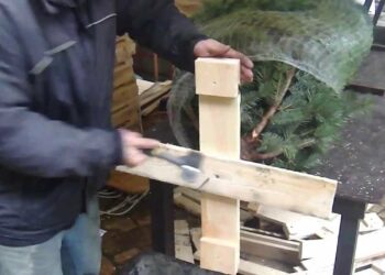 Comment faire tenir des pampas ?