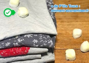 Comment faire un Anti-mites naturel ?