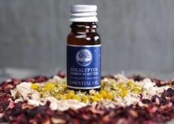 Comment faire un Anti-moustique avec des huiles essentielles ?