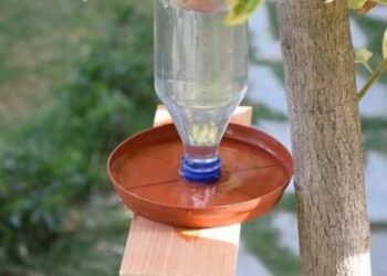 Comment faire un abreuvoir pour les oiseaux ?