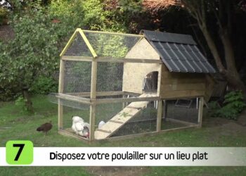 Comment faire un abri pour poule ?