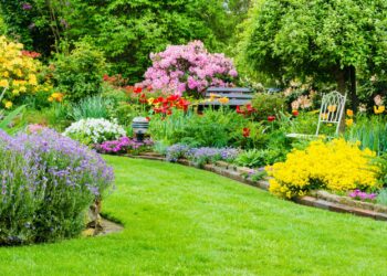 Comment faire un beau massif de fleurs vivaces ?