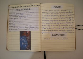 Comment faire un bon carnet de lecture ?