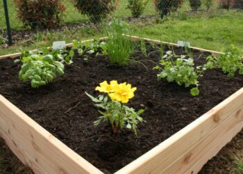 Comment faire un carré potager en hauteur ?