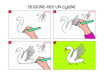 Comment faire un cygne en dessin ?
