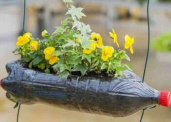 Comment faire un jardin avec de la récup ?