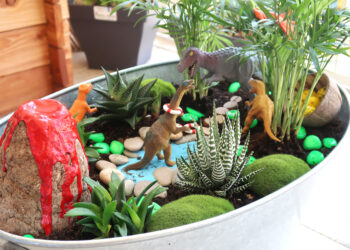 Comment faire un jardin miniature ?