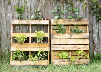 Comment faire un jardin vertical avec palette ?