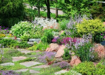 Comment faire un massif de fleurs sans mauvaises herbes ?