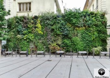Comment faire un mur végétal DIY ?