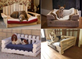 Comment faire un panier pour chien maison ?