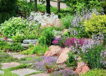 Comment faire un parterre de fleurs sans entretien ?
