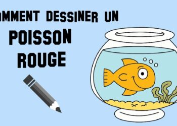 Comment faire un poisson facilement ?