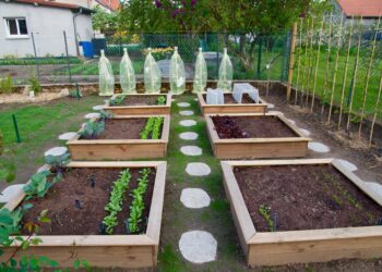 Comment faire un potager avec des cagettes ?