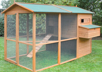 Comment faire un poulailler facile et pas cher ?